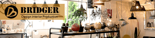 BRIDGER